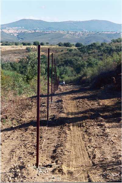 creacion de viveros en la mancha
