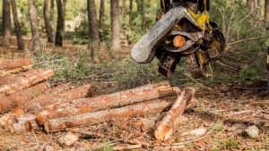 Optimización del Terreno para un Futuro Sostenible en Alicante