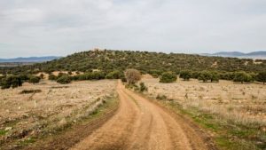 Reforestación y Restauración Ambiental Castilla La Mancha